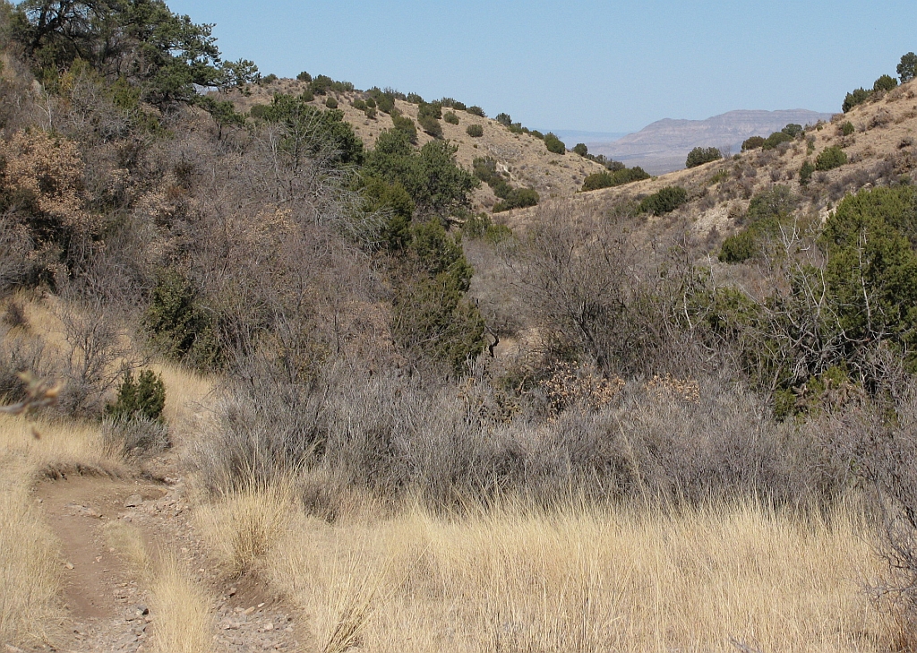 Descending Dry Canyon