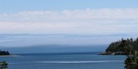 Fundy Fog