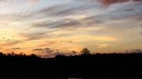 Sunset Lighting of Cirrus Clouds N.S.