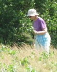 Alison in our field of Milkweed