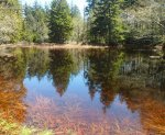 Blomidon Park pond, NS