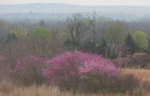 Red Bud,  Kansas