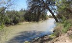 Rio Grande River, Percha Dam                               