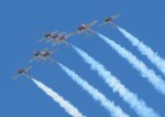 Snow birds, NS                               