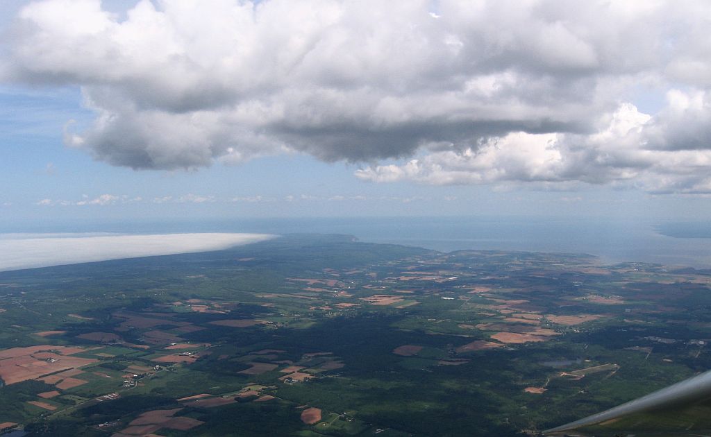 Fog below Cumulus above