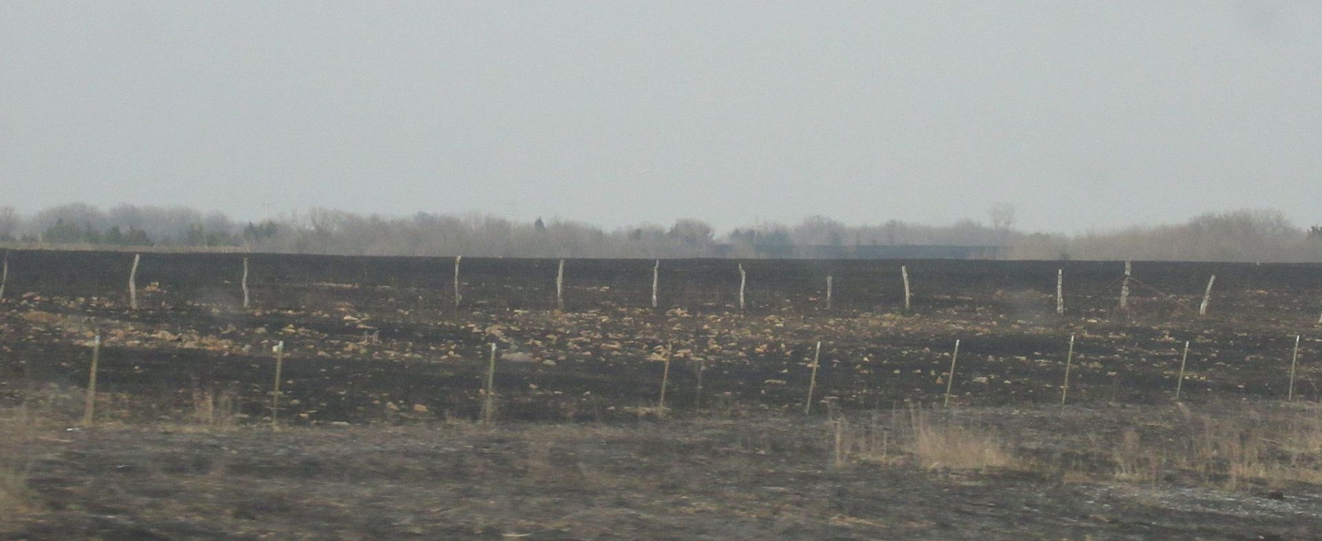 Blackened Fields of Eastern Kansas           